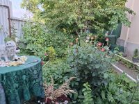 продаж будинку Черкасах